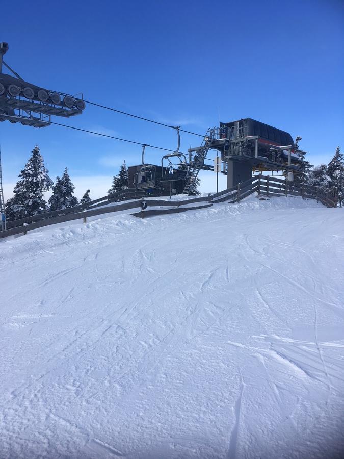 Concordia Harzapart Braunlage Exterior photo