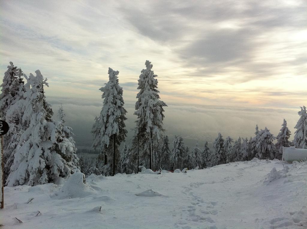 Concordia Harzapart Braunlage Exterior photo